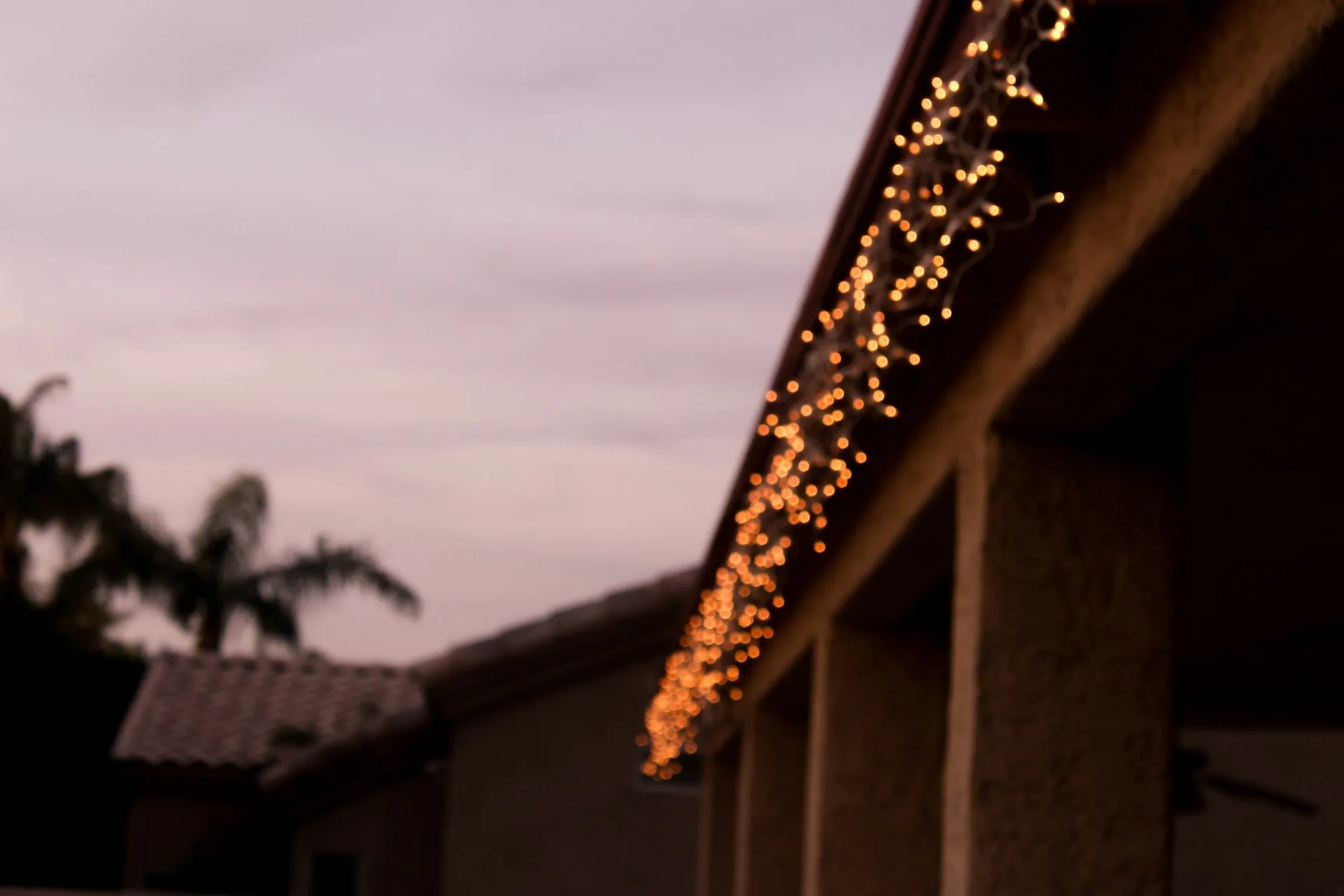 Pathway with Lighting