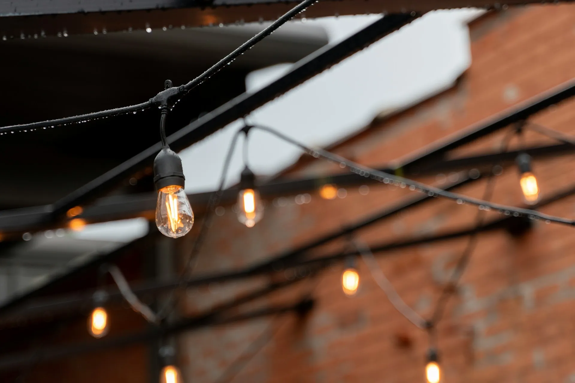 Elegant Walkway Lighting